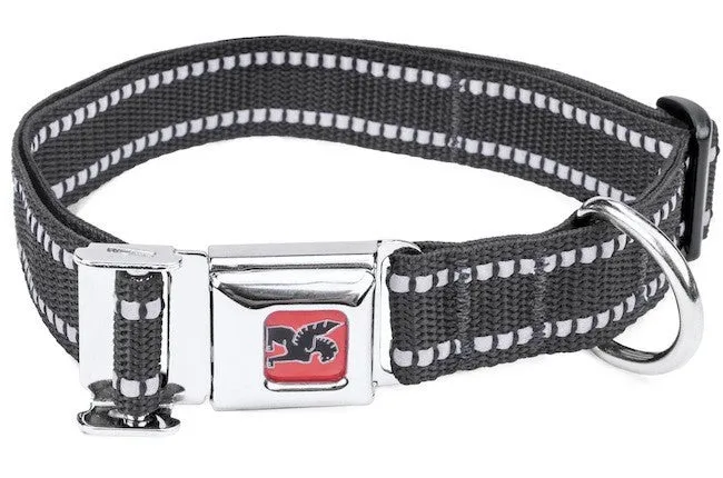 CHROME Dog Collar PALMER3000