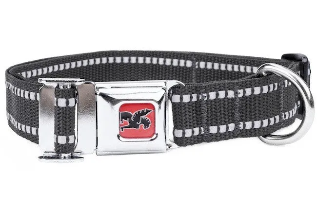 CHROME Dog Collar PALMER3000